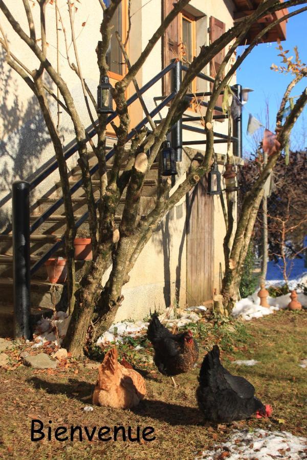 Belladone Guest House Theys Les 7 Laux Exterior foto